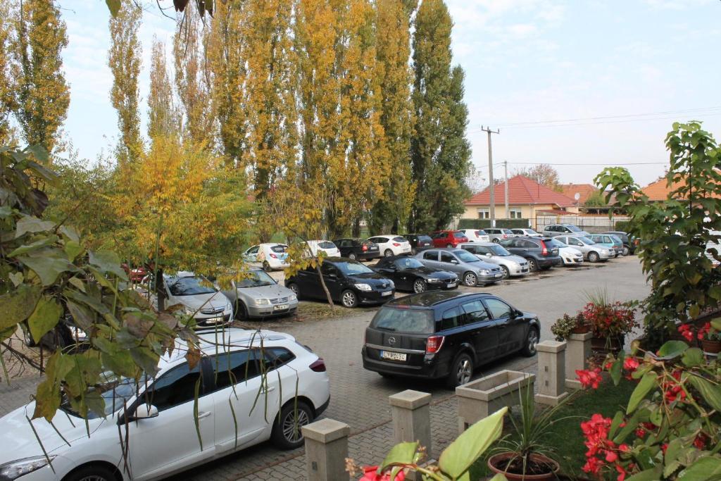 Bed and Breakfast Bajor Panzio à Kecskemét Extérieur photo